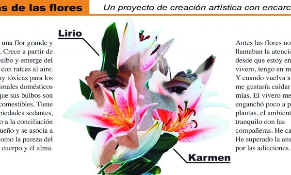 06 lirio karmen