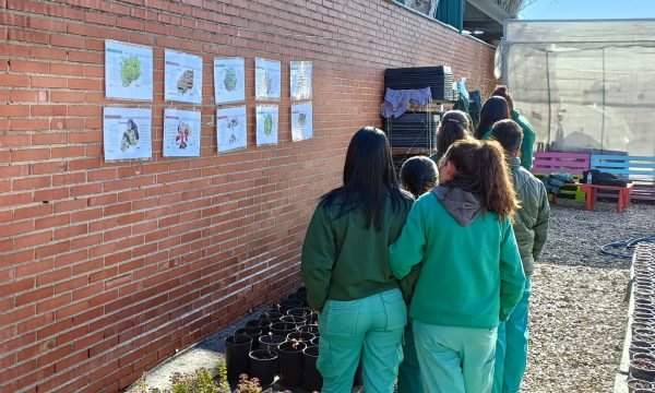 WhatsApp Image 2023-12-27 at 17.12.53