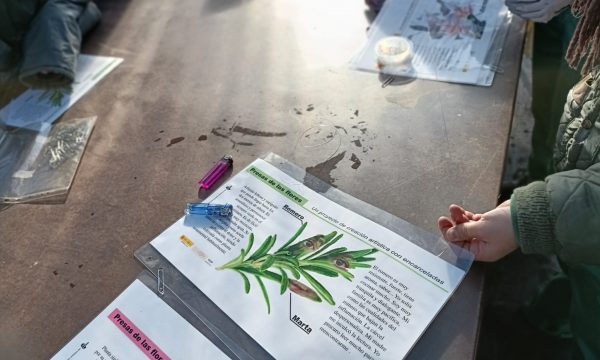 WhatsApp Image 2023-12-27 at 17.12.59 (1)