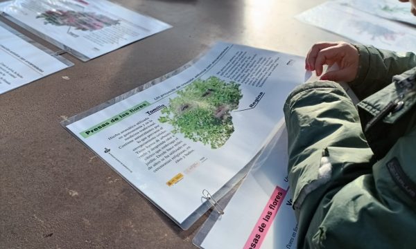 WhatsApp Image 2023-12-27 at 17.12.59 (2)