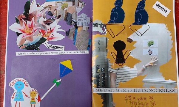 WhatsApp Image 2024-04-26 at 16.52.13