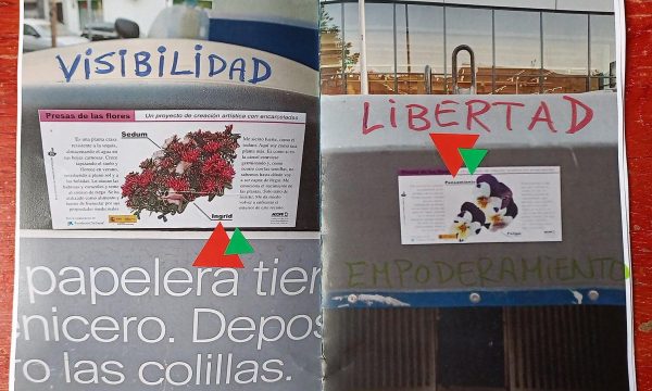 WhatsApp Image 2024-04-26 at 17.02.01